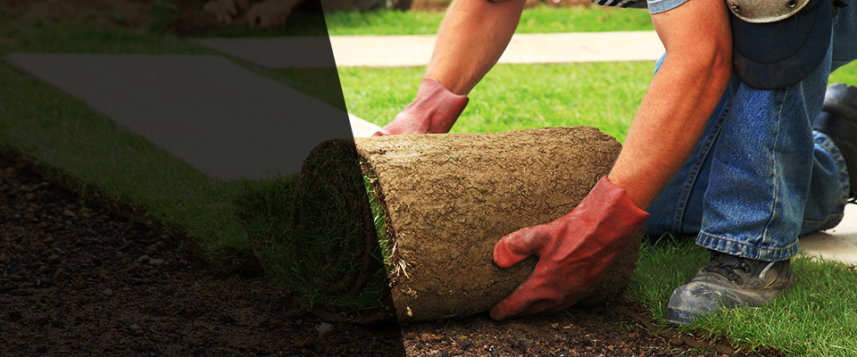 Shoemakersville Landscapers